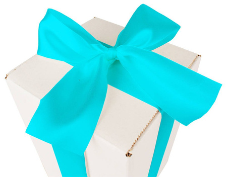 BIELONE PUDEŁKO KARTONOWE - z błękitną tasiemką - 25x15x15cm
